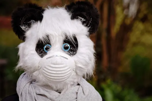 Bet9 Kasyno Wsparcie